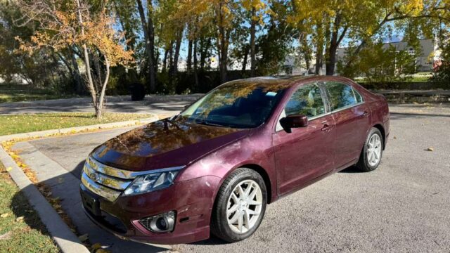 WhatsApp Image 2025-11-14 at 3.42.17 PM (4)